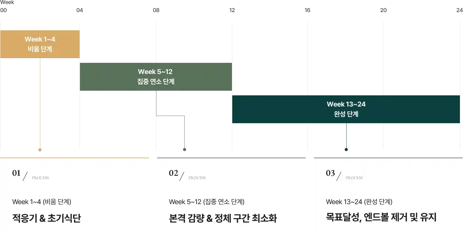24주 로드맵 엔드슬림 타임
