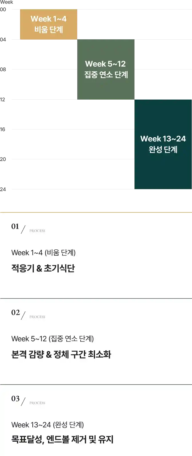 24주 로드맵 엔드슬림 타임