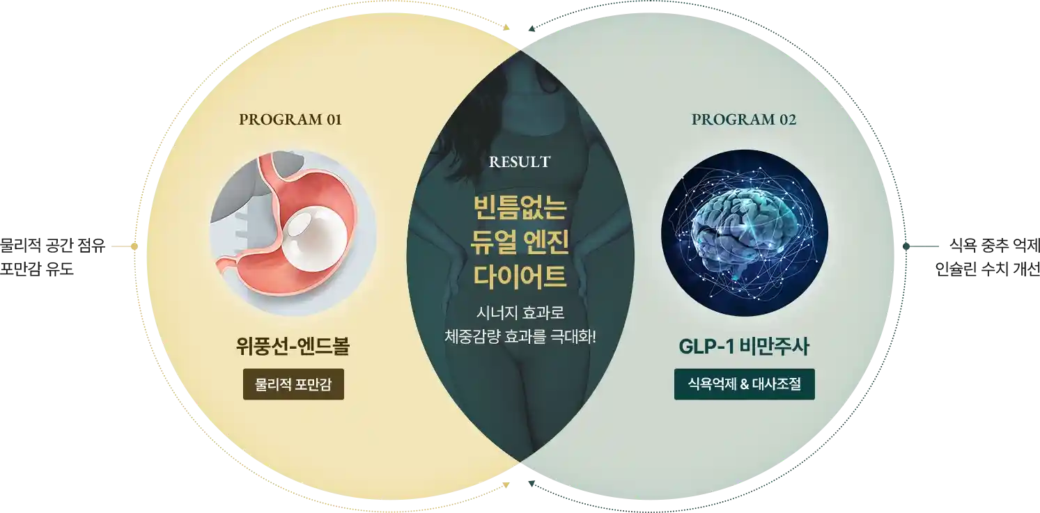 빈틈없는 듀얼 엔진 다이어트