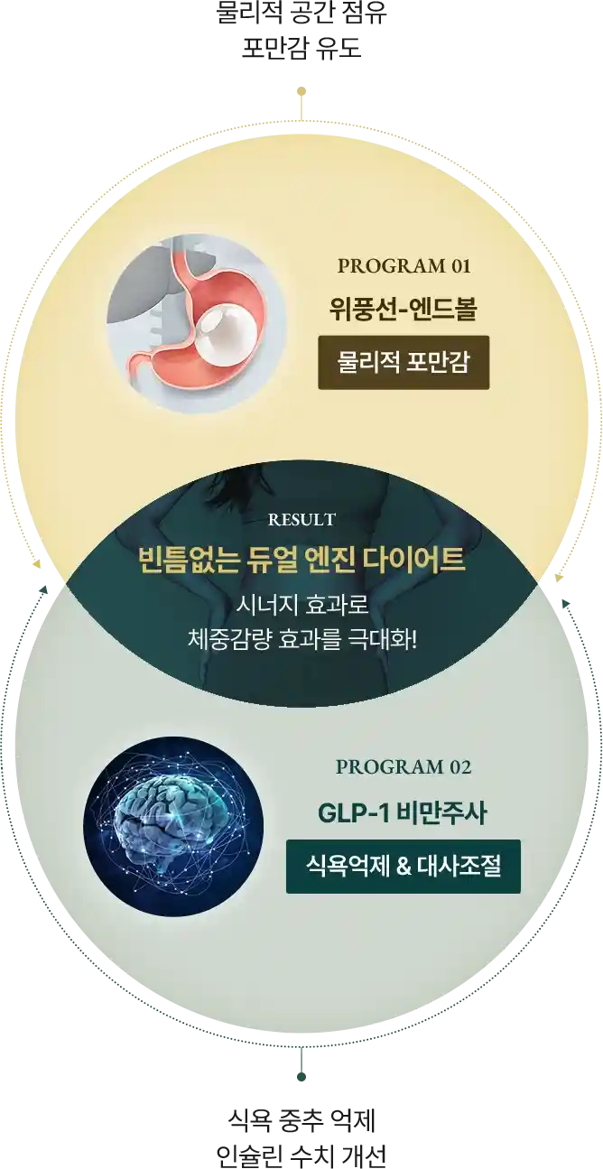 빈틈없는 듀얼 엔진 다이어트